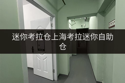 迷你考拉仓上海考拉迷你自助仓，面积选择攻略与实用案例分享