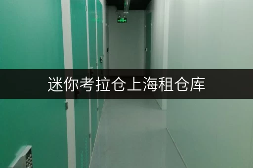 迷你考拉仓上海租仓库,迷你考拉仓助您随存随取,轻松管理 迷你考拉仓上海租仓库,迷你考拉仓助您随存随取,轻松管理