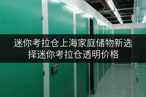 迷你考拉仓上海家庭储物新选择迷你考拉仓透明价格,储物更省钱 迷你考拉仓上海家庭储物新选择迷你考拉仓透明价格,储物更省钱