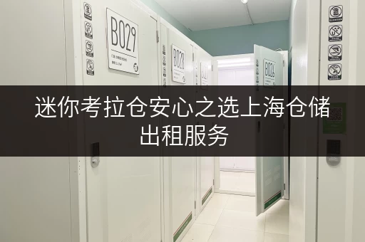 迷你考拉仓安心之选上海仓储出租服务,迷你考拉仓守护您的宝贵物品 迷你考拉仓安心之选上海仓储出租服务,迷你考拉仓守护您的宝贵物品