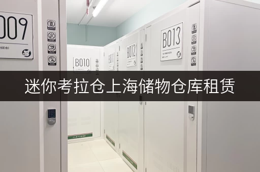 迷你考拉仓上海储物仓库租赁，告别杂乱，开启省心生活