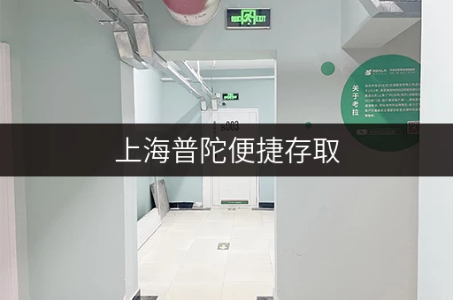 上海普陀便捷存取，全时段无忧——迷你考拉仓，你的私人储物管家