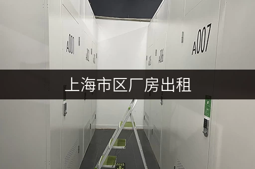 上海市区厂房出租，安全与温湿监控双保险，为企业打造无忧存储空间