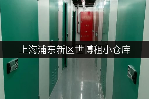 上海浦东新区世博租小仓库，装修搬家不忧心，价格透明攻略揭秘！