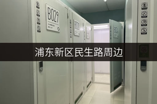 浦东新区民生路周边，物品寄存不再头疼，这些省钱小技巧你知道吗？