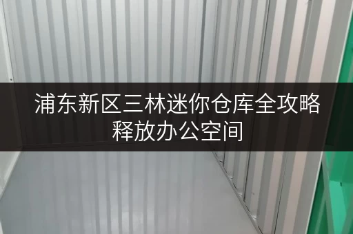 浦东新区三林迷你仓库全攻略释放办公空间，高效办公新选择