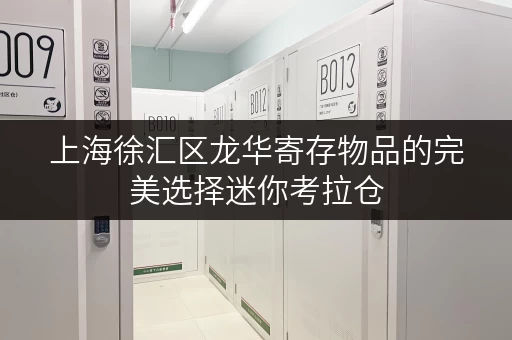 上海徐汇区龙华寄存物品的完美选择迷你考拉仓，您的临时存储专家
