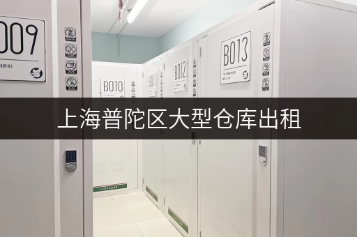 上海普陀区大型仓库出租,迷你考拉仓随存随取,便捷无忧 上海普陀区大型仓库出租,迷你考拉仓随存随取,便捷无忧