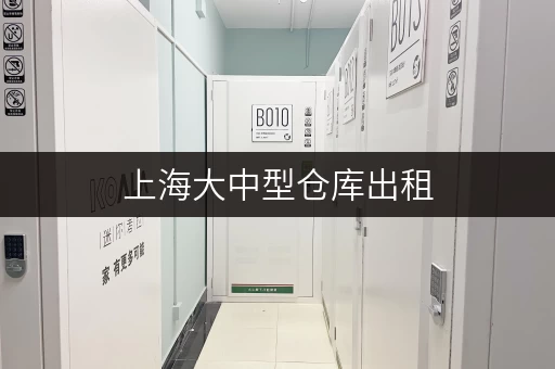 上海大中型仓库出租,迷你考拉仓为您量身定制装修搬家临时存储方案 上海大中型仓库出租,迷你考拉仓为您量身定制装修搬家临时存储方案