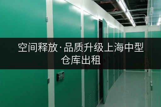 空间释放·品质升级上海中型仓库出租，迷你考拉仓专业护航