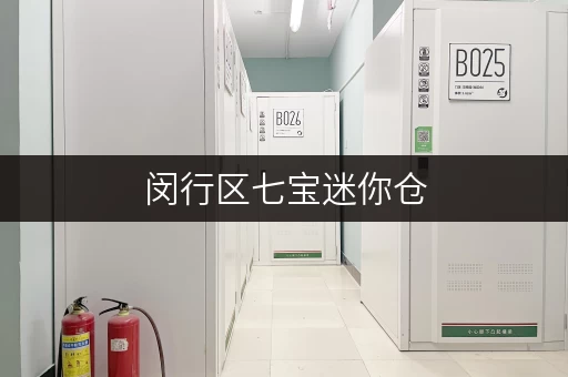 闵行区七宝迷你仓，释放办公空间，让工作更高效