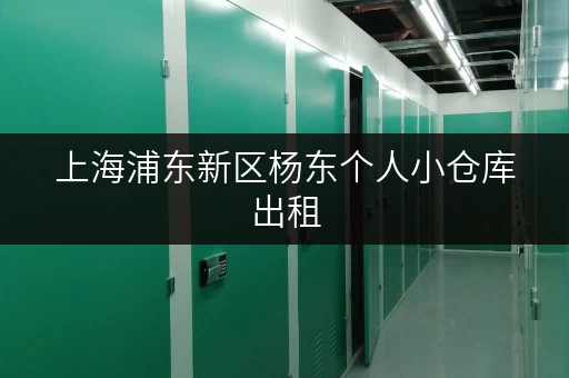 上海浦东新区杨东个人小仓库出租，揭秘省钱秘籍
