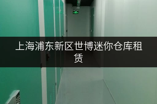 上海浦东新区世博迷你仓库租赁,办公空间释放新选择 上海浦东新区世博迷你仓库租赁,办公空间释放新选择