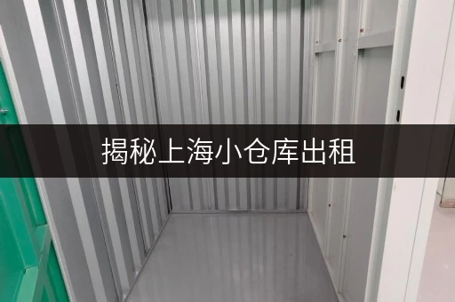 揭秘上海小仓库出租，实地查看教你省心存储方案！