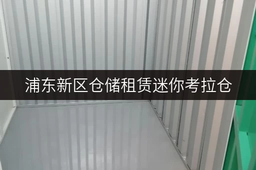 浦东新区仓储租赁迷你考拉仓，让货物存放更省心！