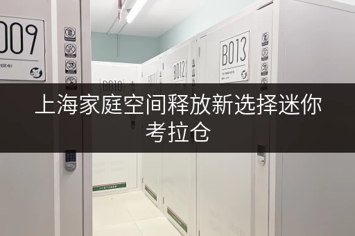 上海家庭空间释放新选择迷你考拉仓，品质生活新伙伴