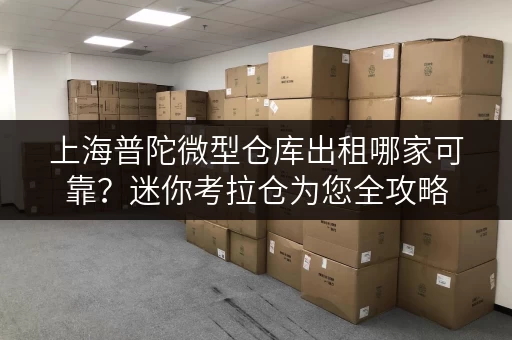 上海普陀微型仓库出租哪家可靠？迷你考拉仓为您全攻略