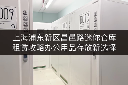 上海浦东新区昌邑路迷你仓库租赁攻略办公用品存放新选择，轻松释放办公空间