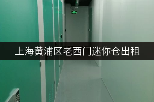 上海黄浦区老西门迷你仓出租,办公空间释放新天地 上海黄浦区老西门迷你仓出租,办公空间释放新天地