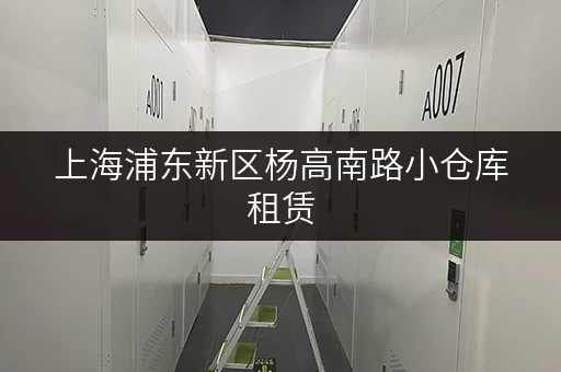 上海浦东新区杨高南路小仓库租赁,随存随取,轻松管理您的物品 上海浦东新区杨高南路小仓库租赁,随存随取,轻松管理您的物品