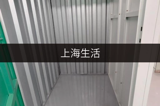 上海生活，空间无忧——迷你考拉仓，您的便捷储物新选择