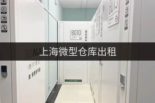 上海微型仓库出租,迷你考拉仓便捷存取,口碑见证品质! 上海微型仓库出租,迷你考拉仓便捷存取,口碑见证品质!
