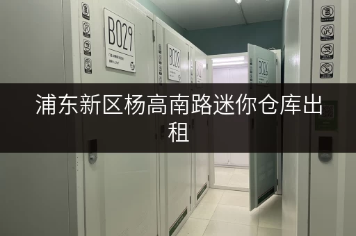 浦东新区杨高南路迷你仓库出租，告别货物存放烦恼