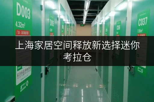 上海家居空间释放新选择迷你考拉仓,性价比之选 上海家居空间释放新选择迷你考拉仓,性价比之选