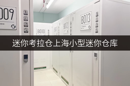 迷你考拉仓上海小型迷你仓库,如何选对面积?实用案例分享 迷你考拉仓上海小型迷你仓库,如何选对面积?实用案例分享