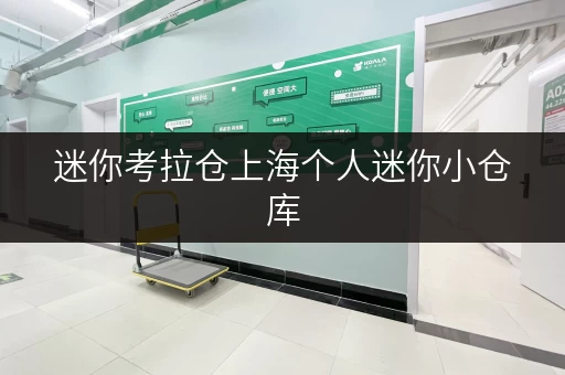 迷你考拉仓上海个人迷你小仓库,随存随取,生活无忧 迷你考拉仓上海个人迷你小仓库,随存随取,生活无忧