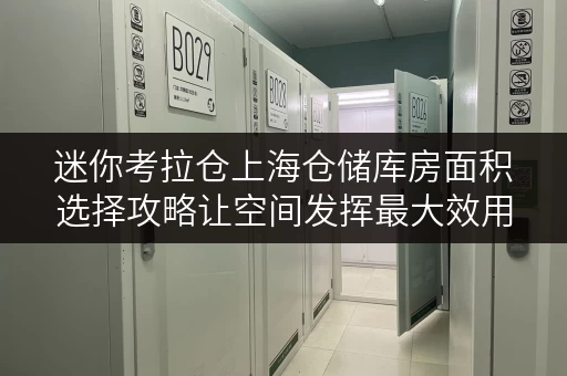 迷你考拉仓上海仓储库房面积选择攻略让空间发挥最大效用 迷你考拉仓上海仓储库房面积选择攻略让空间发挥最大效用