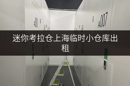 迷你考拉仓上海临时小仓库出租，随存随取，工具装备轻松收纳