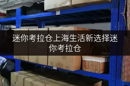 迷你考拉仓上海生活新选择迷你考拉仓,您的长期寄存守护者 迷你考拉仓上海生活新选择迷你考拉仓,您的长期寄存守护者