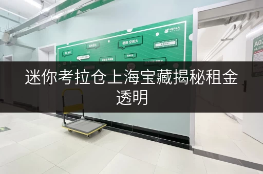 迷你考拉仓上海宝藏揭秘租金透明,租房无忧——迷你考拉仓带您智慧省钱 迷你考拉仓上海宝藏揭秘租金透明,租房无忧——迷你考拉仓带您智慧省钱