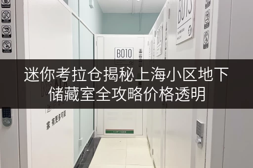 迷你考拉仓揭秘上海小区地下储藏室全攻略价格透明,省钱有技巧! 迷你考拉仓揭秘上海小区地下储藏室全攻略价格透明,省钱有技巧!