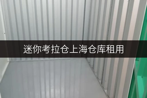 迷你考拉仓上海仓库租用，迷你考拉仓带你解锁安全与温湿监控全攻略