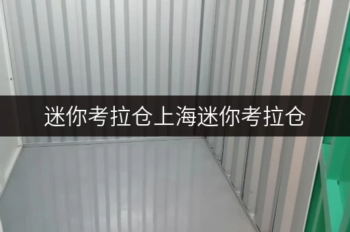 迷你考拉仓上海迷你考拉仓,安全守护,温湿监控,亲身体验分享 迷你考拉仓上海迷你考拉仓,安全守护,温湿监控,亲身体验分享
