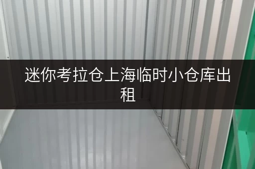 迷你考拉仓上海临时小仓库出租,办公空间释放新可能 迷你考拉仓上海临时小仓库出租,办公空间释放新可能