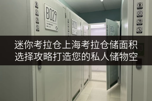 迷你考拉仓上海考拉仓储面积选择攻略打造您的私人储物空间 迷你考拉仓上海考拉仓储面积选择攻略打造您的私人储物空间