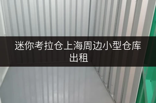 迷你考拉仓上海周边小型仓库出租,轻松解决货物存放烦恼 迷你考拉仓上海周边小型仓库出租,轻松解决货物存放烦恼