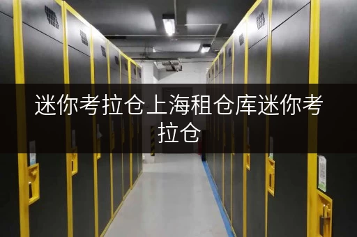 迷你考拉仓上海租仓库迷你考拉仓,安全温湿监控,为您的存储无忧护航 迷你考拉仓上海租仓库迷你考拉仓,安全温湿监控,为您的存储无忧护航