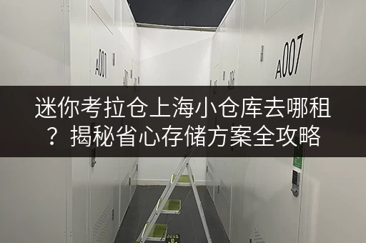 迷你考拉仓上海小仓库去哪租?揭秘省心存储方案全攻略 迷你考拉仓上海小仓库去哪租?揭秘省心存储方案全攻略
