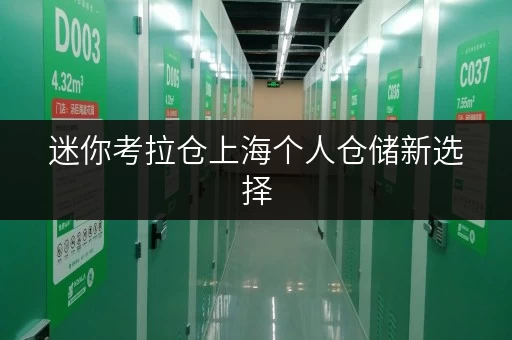 迷你考拉仓上海个人仓储新选择,告别杂乱,享受空间自由! 迷你考拉仓上海个人仓储新选择,告别杂乱,享受空间自由!