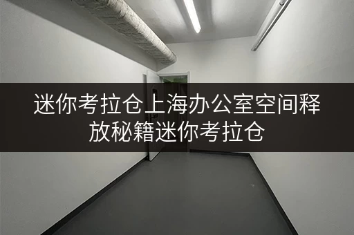 迷你考拉仓上海办公室空间释放秘籍迷你考拉仓,您的办公用品存放专家 迷你考拉仓上海办公室空间释放秘籍迷你考拉仓,您的办公用品存放专家