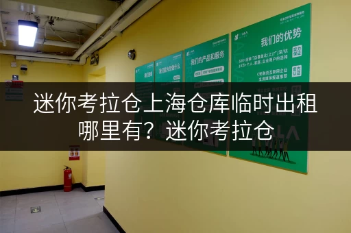 迷你考拉仓上海仓库临时出租哪里有?迷你考拉仓,您的私人空间管家 迷你考拉仓上海仓库临时出租哪里有?迷你考拉仓,您的私人空间管家