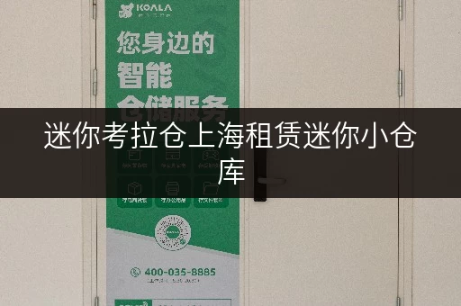 迷你考拉仓上海租赁迷你小仓库,安全与温湿监控双重保障,你的私人空间守护者 迷你考拉仓上海租赁迷你小仓库,安全与温湿监控双重保障,你的私人空间守护者