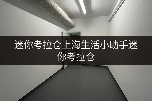 迷你考拉仓上海生活小助手迷你考拉仓，物品寄存新选择