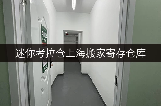 迷你考拉仓上海搬家寄存仓库,安全与温湿监控双重保障,搬家无忧 迷你考拉仓上海搬家寄存仓库,安全与温湿监控双重保障,搬家无忧