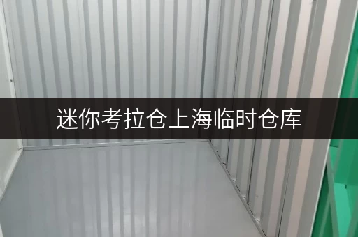 迷你考拉仓上海临时仓库,随存随取,轻松解决您的临时存储需求 迷你考拉仓上海临时仓库,随存随取,轻松解决您的临时存储需求