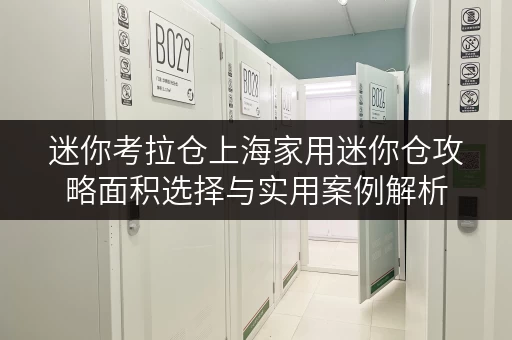 迷你考拉仓上海家用迷你仓攻略面积选择与实用案例解析 迷你考拉仓上海家用迷你仓攻略面积选择与实用案例解析